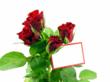 Flower Delivery Deals for Valentines Day Announced by iTrustNews