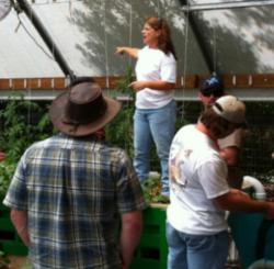 Green Acre Aquaponics Introduces a Revolutionary Approach to Farm 