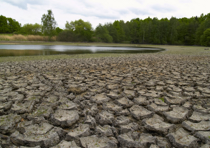 Clean Water Systems & Stores Inc Releases New Drought Guide for Water