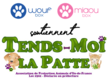 Miaoubox tend la patte aux animaux abandonnés