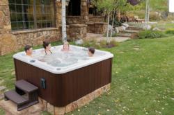 BLUEWAVE™ Spa Stereo System