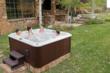 Jacuzzi® Hot Tubs BLUEWAVE™ Spa Stereo System Connects to...