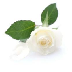 Funeral.us.org