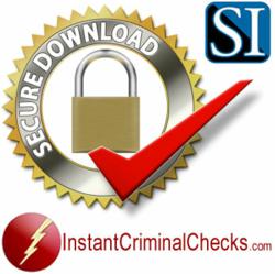 online criminal background check