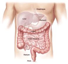 Gastroenterology Research @ ScienceIndex.com