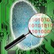 Forensic Analysis Case Studies on Investment Fraud Released by...