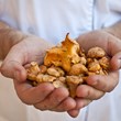 The Joel Palmer House Restaurant Offers a Unique Opportunity to...