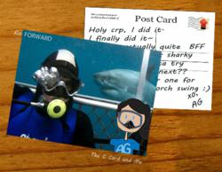 The C Card and Me and Fin Forward - shark diving encounters for cancer survivors
