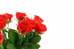 Flower Delivery Best Discounts