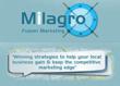 Digital Marketing Company Milagro Fusion Marketing Announces New...