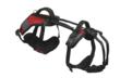 Blue Dog Designs Announces New help 'Em Up Harness™ for Small Dogs