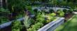 Richmond Landscape and Richmond Landscaping "Best of the...