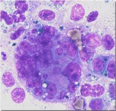 Oncology @ Scienceindex.com
