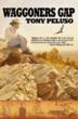 Waggoners Gap: An Epic Novel of Two Families and Two World Wars New...