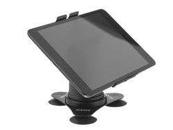 iPad Mini in Landscape
