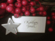 Glimmers Inc's Star Lite Line of Party Lights are Shining at...