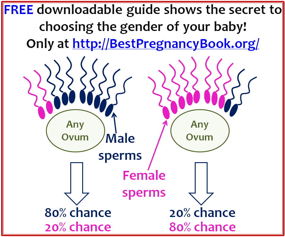 Pregnancy eBook How to decide the gender of the baby and get pregnant ...