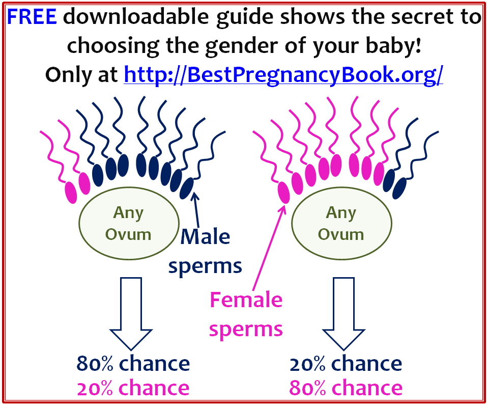 ... baby and get pregnant with a girl or boy according to parents' choice