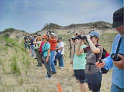 Watching piping plovers at the Sleeping Bear Dunes