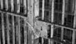 Proposed Bill May Give California Drug Crime Offenders Chance to Avoid...