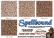 Dallas Flooring Warehouse Introduces Wholesale Direct Dallas Private...