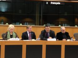 In the European Parliament