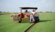 The Grass Outlet Launches Fort Worth Sod Grass Calculator on Website