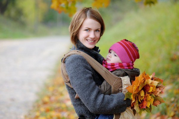 baby gear lab carrier