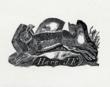 Farnsworth Art Museum Opens New Exhibition: A Wondrous...