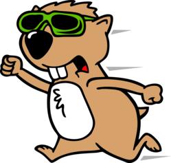 Gophers goo dbye
