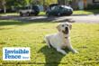 Invisible Fence® of Northern Vermont Brings Peace of Mind to Pet...