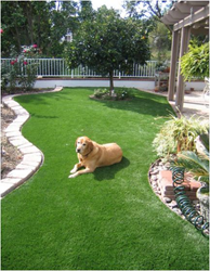 lawn cover,artificial grass,dog-friendly artificial grass,synthetic grass,dog--friendly landscaping,