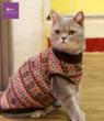 Funny Fur Pet Boutique Announces Addition of Cat Apparel Line