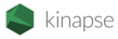 Kinapse announces launch of refreshed branding