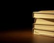 Donated Books Transport Bed Bugs to Marshall District Library, My Cleaning Products Asserts Bed Bug Bully Makes the Help to Kill the Pests