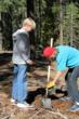 American Forests Commits to Planting Almost Two Million Trees in 2013