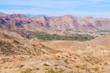 Desert Mountains Art Fair Highlights Fabulous Palm Springs Real Estate...