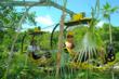 Zip-Bike: Flight Over the Jungle, the Great New Attraction from Experiencias Xcaret at Xel-Ha Park
