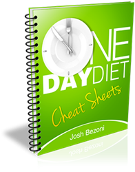 Free One Day Diet Plan