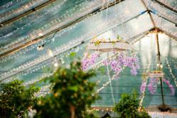 Live trees and live flowers as wedding decor