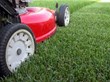 The Grounds Guys(r) Offers Five Overlooked Lawn Care Tips for First Time Homeowners