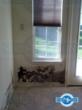 Mold Expert SI Restoration Considers Validity of New Study Linking Hay...