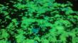 Garage Flooring LLC Launches Glow in the Dark Flake for Epoxy Systems