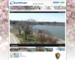 National Cherry Blossom Festival in Bloom on Live Webcam