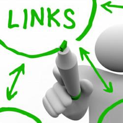 Backlink Software Review