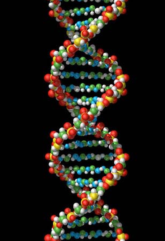 AncestorEbooks applauds Human DNA Research for changing Genealogy Research
