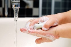 Tips to protect yourself from the norovirus.