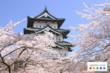 Agoda.com offers great Tokyo hotel deals for the colorful sakura...