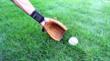 Phubby Wrist Cell Phone Holder Proves Popular Among Baseball Lovers,...
