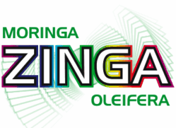 Moringa Zinga